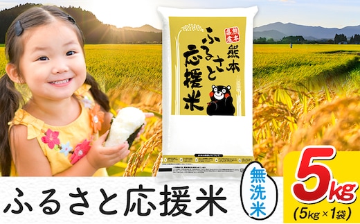 米 無洗米 家庭用 熊本 ふるさと応援 米 5kg《7-14日以内に出荷予定(土日祝除く)》熊本県産 白米 精米 山江村 ブレンド米 国産 洗わず コロナ おうちご飯 予約 返礼品 発送 配送 SDGs---ym_youenmim_wx_13500_5kg---