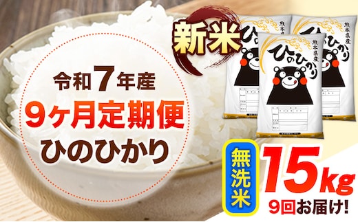 新米 令和7年産 【9ヶ月定期便】 無洗米 ひのひかり 15kg 《お申し込み月の翌月から出荷開始》 熊本県産 無洗米 白米 精米 ひの 送料無料 熊本県 山江村 SDGs むせんまい 米 コメ こめ 国産---hn7tei_337500_15kg_mo9_ym_m---