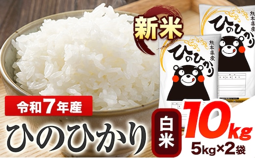 新米 令和7年産 ひのひかり 白米 10kg 《7-14日以内に出荷予定(土日祝除く)》 熊本県産 白米 精米 ひの 送料無料 熊本県 山江村---ym_hn7_wx_25500_10kg_h---