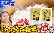 米 無洗米 家庭用 熊本 ふるさと応援 米  10kg《11月-12月より出荷予定(土日祝を除く)》 熊本県産 白米 精米 山江村 ブレンド米 国産 洗わず コロナ おうちご飯 予約 返礼品 発送 配送 SDGs---ym_youenmim_af11_24_17500_10kg---