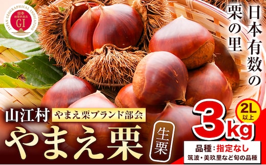 GI認証登録 山江村の やまえ栗 生栗 3kg 品種指定なし 筑波 美玖里 など旬の品種 やまえ栗ブランド部会 有限会社やまえ堂《9月下旬-10月中旬頃出荷》熊本県 球磨郡 山江村 栗 くり フルーツ 熊本県産 果物 早期 予約---sy_ymkuri_h9_r7_25500_snt3kg_cp---