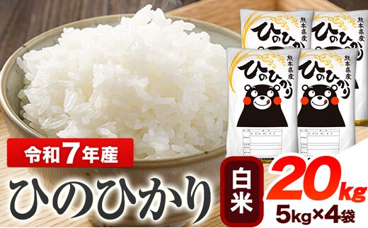 新米 令和7年産 【2ヶ月定期便】 白米 ひのひかり 20kg 《お申し込み月の翌月から出荷開始》 熊本県産 無洗米 白米 精米 ひの 送料無料 熊本県 山江村 SDGs むせんまい 米 コメ こめ 国産---hn7tei_99000_20kg_mo2_ym_h---