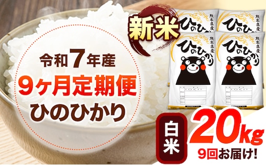 新米 令和7年産 【9ヶ月定期便】 白米 ひのひかり 20kg 《お申し込み月の翌月から出荷開始》 熊本県産 無洗米 白米 精米 ひの 送料無料 熊本県 山江村 SDGs むせんまい 米 コメ こめ 国産---hn7tei_445500_20kg_mo9_ym_h---