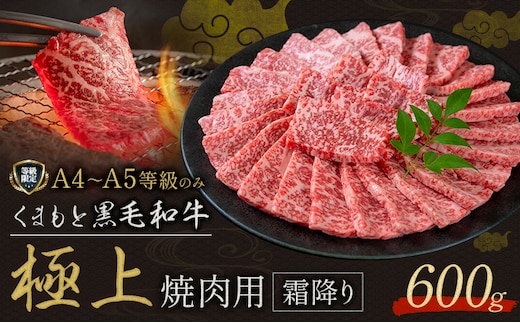 黒毛和牛 くまもと黒毛和牛 A4-A5等級 霜降り 焼肉用 600g 牛肉《30日以内に出荷予定(土日祝除く)》焼肉 焼き肉---yme_lcl_811_600g---
