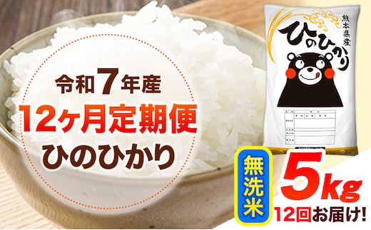 令和7年産 【12ヶ月定期便】 無洗米 ひのひかり 5kg 《お申込み翌月から出荷》 熊本県産 無洗米 精米 ひの 送料無料 熊本県 山江村 SDGs 米 コメ こめ 国産---hn7tei_174000_5kg_mo12_ym_m---