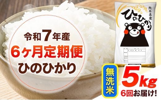 令和7年産 【6ヶ月定期便】 無洗米 ひのひかり 5kg 《お申込み翌月から出荷》 熊本県産 無洗米 精米 ひの 送料無料 熊本県 山江村 SDGs 米 コメ こめ 国産---hn7tei_87000_5kg_mo6_ym_m---