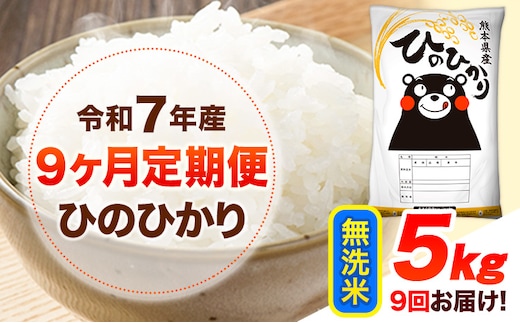 令和7年産 【9ヶ月定期便】 無洗米 ひのひかり 5kg 《お申し込み月の翌月から出荷開始》 熊本県産 無洗米 白米 精米 ひの 送料無料 熊本県 山江村 SDGs むせんまい 米 コメ こめ 国産---hn7tei_130500_5kg_mo9_ym_m---