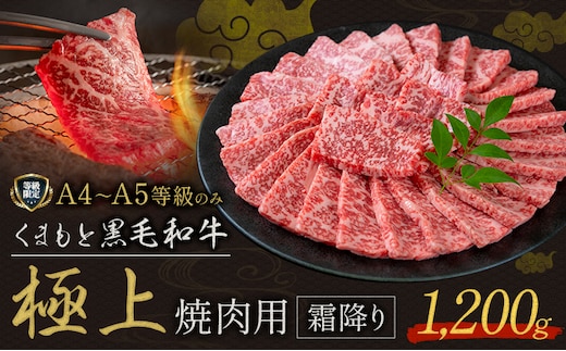 黒毛和牛 くまもと黒毛和牛 A4-A5等級 霜降り 焼肉用 1200g 牛肉《30日以内に出荷予定(土日祝除く)》焼肉 焼き肉---yme_lcl_812_1200g---