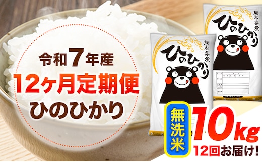 【定期】ひのひかり10kg(無洗米)(5kg×2袋)【12ヶ月】《お申込み翌月から出荷》 熊本県産 無洗米 精米 ひの 送料無料 熊本県 山江村 SDGs 米 コメ こめ 国産---hn7tei_264000_10kg_mo12_ym_m---