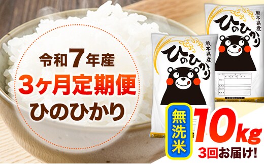 【定期】ひのひかり10kg(無洗米)(5kg×2袋)【3ヶ月】《お申込み翌月から出荷》 熊本県産 無洗米 精米 ひの 送料無料 熊本県 山江村 SDGs 米 コメ こめ 国産---hn7tei_66500_10kg_mo3_ym_m_cp---