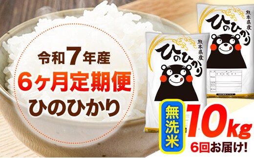 【定期】ひのひかり10kg(無洗米)(5kg×2袋)【6ヶ月】《お申込み翌月から出荷》 熊本県産 無洗米 精米 ひの 送料無料 熊本県 山江村 SDGs 米 コメ こめ 国産---hn7tei_132000_10kg_mo6_ym_m---