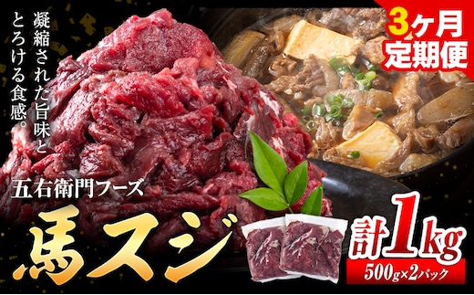 馬肉 馬スジ 500g × 2パック 3kg 3ヶ月定期便 五右衛門フーズ 《お申込み月の翌月から出荷開始》 熊本県 球磨郡 山江村 馬肉 肉 国産 スジ カレー 煮込み おでん おかず 送料無料---sy_fgoeumsjtei_r7_40500_1kg_mo3---