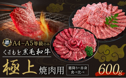 黒毛和牛 くまもと黒毛和牛 A4-A5等級 霜降り 赤身 食べ比べ セット 焼肉用 600g 牛肉《30日以内に出荷予定(土日祝除く)》焼肉 焼き肉---yme_lcl_814_600g---