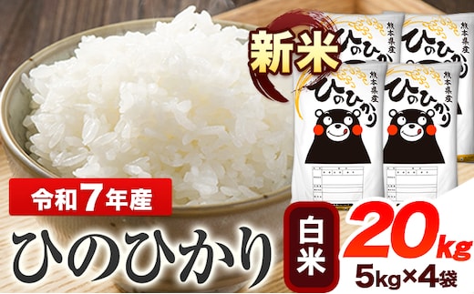 新米 令和7年産 ひのひかり 白米 20kg 《7-14日以内に出荷予定(土日祝除く)》 熊本県産 白米 精米 ひの 送料無料 熊本県 山江村---ym_hn7_wx_49500_20kg_h---