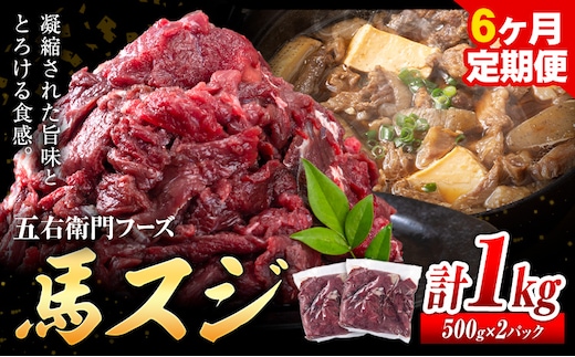 馬肉 馬スジ 500g × 2パック 6kg 6ヶ月定期便 五右衛門フーズ 《お申込み月の翌月から出荷開始》 熊本県 球磨郡 山江村 馬肉 肉 国産 スジ カレー 煮込み おでん おかず 送料無料---sy_fgoeumsjtei_r7_80000_1kg_mo6---