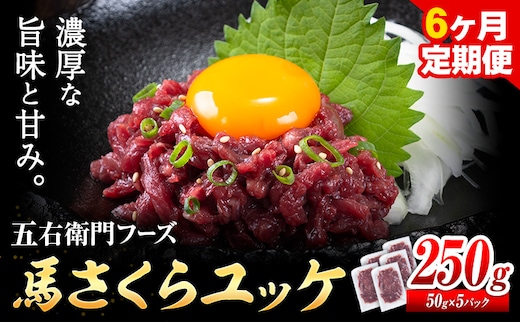 馬肉 馬さくらユッケ 50g × 5パック 1.5kg 6ヶ月定期便 五右衛門フーズ 《お申込み月の翌月から出荷開始》 熊本県 球磨郡 山江村 馬肉 肉 国産 馬 さくら ユッケ 小分け 送料無料---sy_fgoeskyktei_r7_80000_250g_mo6---