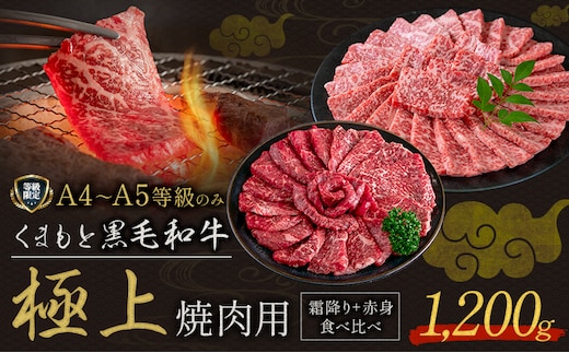黒毛和牛 くまもと黒毛和牛 A4-A5等級 霜降り 赤身 食べ比べ セット 焼肉用 1200g 牛肉《30日以内に出荷予定(土日祝除く)》焼肉 焼き肉---yme_lcl_815_1200g---