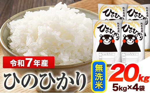 令和7年産 ひのひかり 無洗米 20kg 《7-14日以内に出荷予定(土日祝除く)》 熊本県産 無洗米 精米 ひの 送料無料 熊本県 山江村---ym_hn7_wx_49500_20kg_m---
