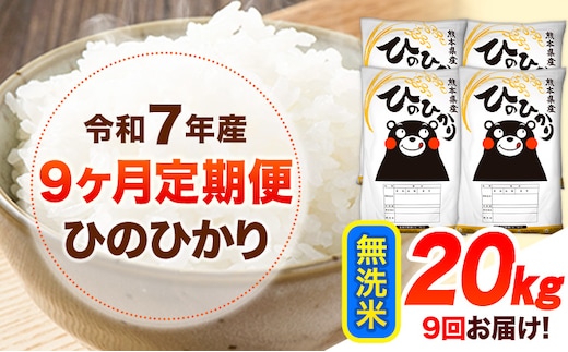 令和7年産 【9ヶ月定期便】 無洗米 ひのひかり 20kg 《お申し込み月の翌月から出荷開始》 熊本県産 無洗米 白米 精米 ひの 送料無料 熊本県 山江村 SDGs むせんまい 米 コメ こめ 国産---hn7tei_445500_20kg_mo9_ym_m---