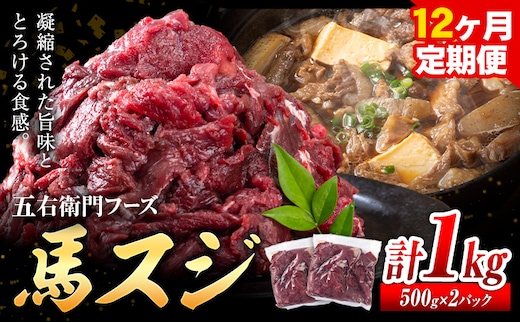 馬肉 馬スジ 500g × 2パック 12kg 12ヶ月定期便 五右衛門フーズ 《お申込み月の翌月から出荷開始》 熊本県 球磨郡 山江村 馬肉 肉 国産 スジ カレー 煮込み おでん おかず 送料無料---sy_fgoeumsjtei_r7_159000_ 1kg_mo12---