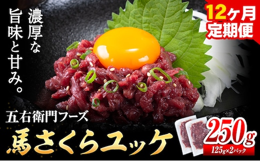 馬肉 馬さくらユッケ 125g × 2パック 3kg 12ヶ月定期便 五右衛門フーズ 《お申込み月の翌月から出荷開始》 熊本県 球磨郡 山江村 馬肉 肉 国産 馬 さくら ユッケ 小分け 送料無料---sy_fgoeskyktei_r7_159000_250g_mo12---