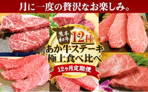 【12ヶ月定期便】あか牛 ステーキ 12種 極上 食べ比べ 定期便 12回《お申込み月の翌月から出荷開始》有限会社 三協畜産 サーロイン ランプ 肩ロース イチボ 三角バラ カイノミ ミスジ クリミ ザブトン シャトーブリアン リブロース モモ あか牛のたれ付き---sy_fsa12tei_r7_504000_mo12num1---