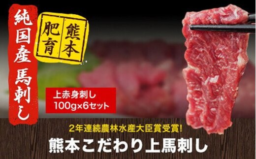 馬刺し 上赤身 ブロック 国産 熊本肥育 冷凍 生食用 たれ付き(10ml×6袋) 100g×6セット 肉 期間限定 絶品 牛肉よりヘルシー 馬肉 予約 平成27年28年 農林水産大臣賞受賞 熊本県山江村《90日以内に出荷予定(土日祝除く)》---ym_fkgakm_90d_20500_600gt---