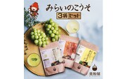 みらいのこうそ 3種セット タマチャンショップ 美粉屋 みらいのこうそ 未来の酵素 酵素 ドリンク 酵素粉末 酵素サプリ 酵素ドリンク 酵素ドリンクサプリ 酵素ドリンクファスティング ビタミンC ビタミンC ドリンク 補酵素 大分県 中津市
