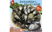 【先行予約】【期間限定】中津ひがた美人（牡蠣：15粒 養殖 冷蔵 かき 熨斗可