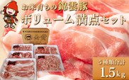 ボリューム満点 錦雲豚 ブランド肉 5種類 合計1.5kg セット ロース バラ肉 もも うで ミンチ ブランド豚 九州産 大分県産 中津市 国産 冷凍 送料無料