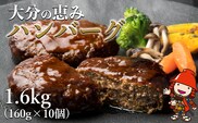 大分の恵みハンバーグ 1.6kg (160g×10個) 牛肉 豚肉 ハンバーグ 弁当 惣菜 冷凍 共通返礼品 中津市 豊後高田市 日出町 佐伯市 杵築市 竹田市 国東市 大分市 送料無料
