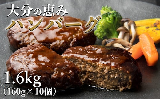 大分の恵みハンバーグ 1.6kg (160g×10個) | 牛肉 豚肉 ハンバーグ 弁当 惣菜 冷凍 共通返礼品 中津市 豊後高田市 日出町 佐伯市 杵築市 竹田市 国東市 大分市 送料無料