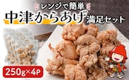 レンジで簡単 中津からあげ 満足セット 250g×4P 調理済 中津からあげ 唐揚げ 唐揚 から揚げ 時短料理 お弁当 おかず 大分県産 九州産 中津市　熨斗対応可