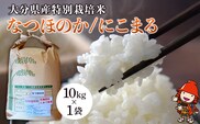 令和6年産 特別栽培米 なつほのか にこまる 10kg×1袋 宗像農園 大分県中津市三光産 栽培期間中 農薬不使用 精米 玄米 選べる 国産 お米 米 ご飯 白米 農家直送 大分県産 九州産 中津市