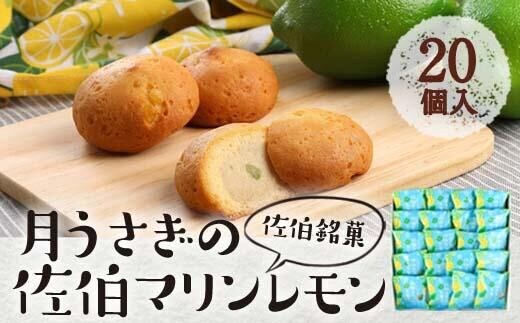 月うさぎの佐伯マリンレモン (計20個) レモン レモンケーキ スイーツ