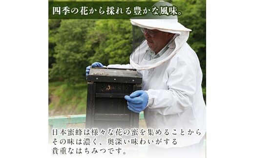 国産 はちみつ (920g) ハチミツ 蜂蜜 ロイヤルゼリー 調味料 スイーツ