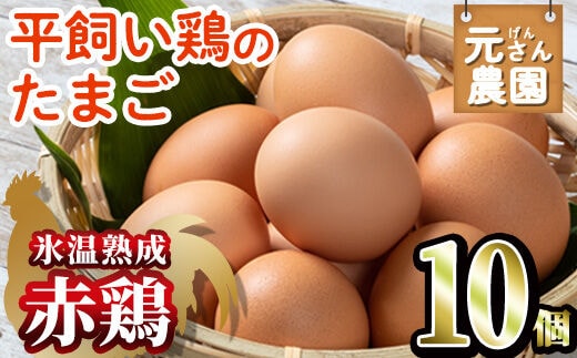 氷温熟成＞平飼い赤鶏のたまご 黄嬉 (計10個)【GE007】【 (株)海九