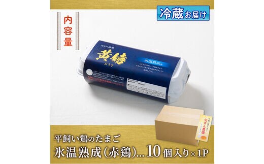 氷温熟成＞平飼い赤鶏のたまご 黄嬉 (計10個)【GE007】【 (株)海九