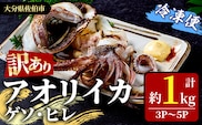 〈訳あり〉加熱用 アオリイカ(ゲソ・ヒレ) (計約1kg・3P～5P) 魚介 イカ 塩焼き 冷凍 おつまみ 海鮮 海の直売所 大分県 佐伯市【AS145】【海べ (株)】