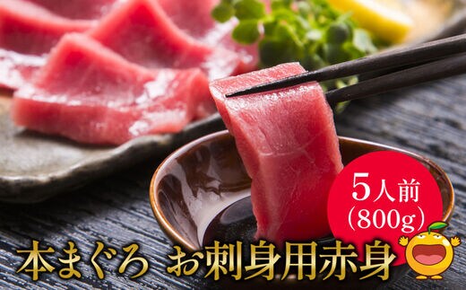 本マグロ まぐろお刺身用 赤身5人前(800g) | 鮪 海鮮丼 刺し身 大分県産 九州産 津久見市 国産
