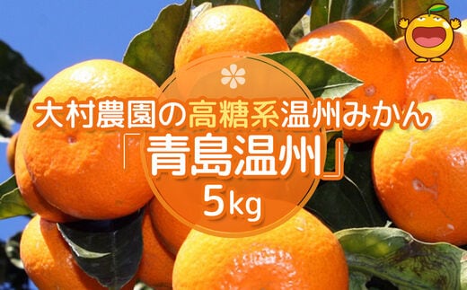 【先行予約】大村農園の温州みかん 青島温州 5kg | ミカン 蜜柑 果実 大分県 九州 津久見市 国産