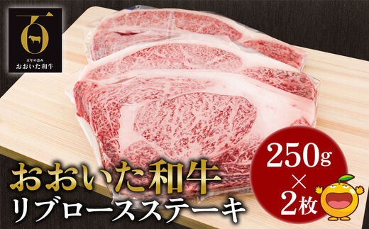 おおいた和牛 リブロースステーキ約250g×2枚(合計500g） 和牛 豊後牛 赤身肉 焼き肉 焼肉 大分県産 九州産 津久見市 熨斗対応