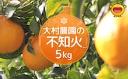 【先行予約】大村農園のみかん 不知火 5kg | ミカン 蜜柑 果実 大分県 九州 津久見市 国産