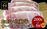 おおいた和牛 サーロインステーキ 約200g×4枚(合計800g) 牛肉 和牛 豊後牛 赤身肉 焼き肉 焼肉 ステーキ肉 大分県産 九州産 津久見市 熨斗対応