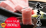 本まぐろ お刺身用 中トロ5人前(800g) 鮪 海鮮丼 刺し身 刺身 盛り合わせ 冷凍 魚の刺身 大分県産 九州産 津久見市 熨斗対応
