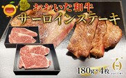 おおいた和牛 サーロインステーキ 約180g×4枚(合計720g) 和牛 豊後牛 国産牛 赤身肉 焼き肉 焼肉 ステーキ肉 大分県産 九州産 津久見市 国産