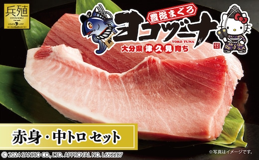 豊後まぐろ ヨコヅーナ 赤身400ｇ 中トロ400g | 鮪 マグロ 冷凍 大分県 九州 津久見市 国産
