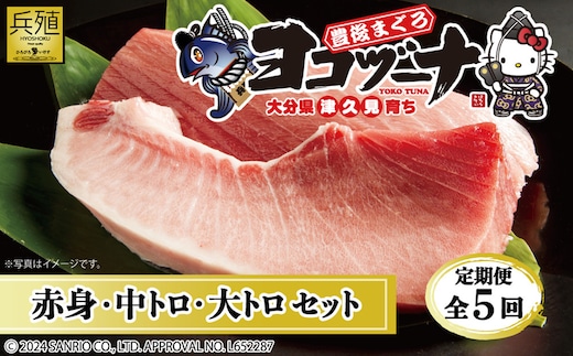 【定期便5回】豊後まぐろヨコヅーナ贅沢セット全5回 赤身250g 中トロ500g 大トロ250g入りの豪華セット マグロ まぐろ 鮪 刺身 刺し身 大分県産 九州産 津久見市