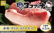 【定期便5回】豊後まぐろヨコヅーナ贅沢セット全5回 赤身250g 中トロ500g 大トロ250g入りの豪華セット マグロ まぐろ 鮪 刺身 刺し身 大分県産 九州産 津久見市