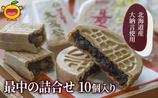 最中の詰合せ 10個入り 和菓子 茶菓子 もなか お中元 お歳暮 ギフト お供物 大分県産 九州産 津久見市 熨斗対応